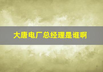 大唐电厂总经理是谁啊