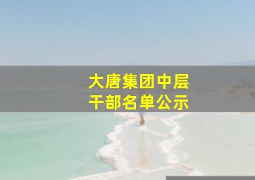 大唐集团中层干部名单公示