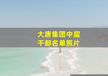 大唐集团中层干部名单照片