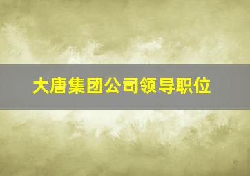 大唐集团公司领导职位