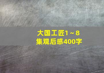 大国工匠1～8集观后感400字