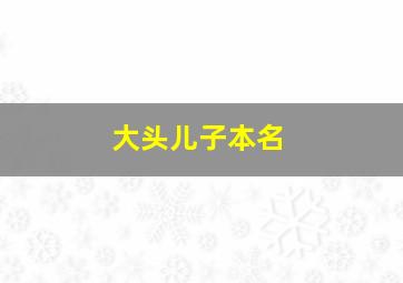 大头儿子本名