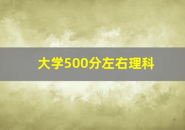 大学500分左右理科