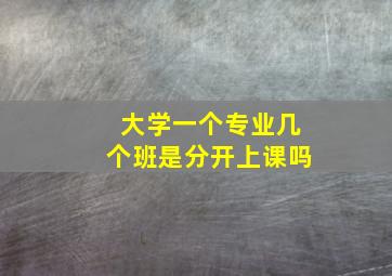 大学一个专业几个班是分开上课吗