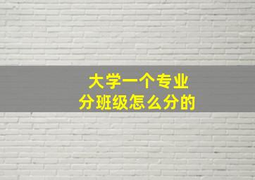 大学一个专业分班级怎么分的