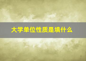 大学单位性质是填什么