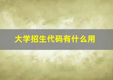 大学招生代码有什么用