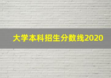 大学本科招生分数线2020