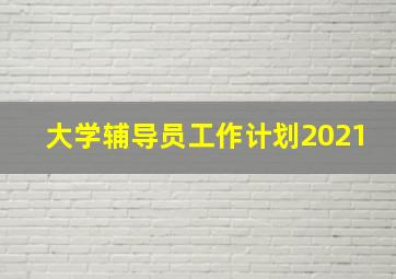 大学辅导员工作计划2021