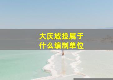 大庆城投属于什么编制单位