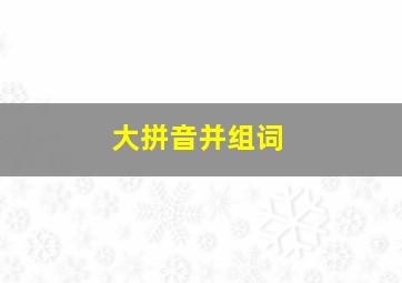 大拼音并组词