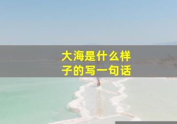 大海是什么样子的写一句话