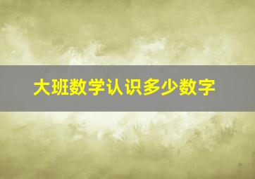 大班数学认识多少数字