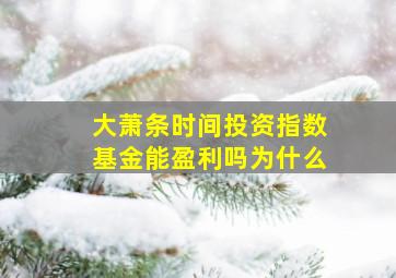 大萧条时间投资指数基金能盈利吗为什么