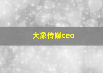 大象传媒ceo