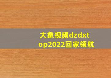 大象视频dzdxtop2022回家领航