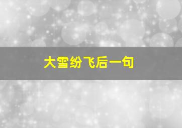 大雪纷飞后一句