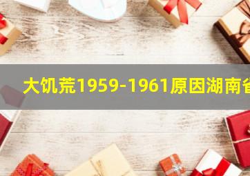 大饥荒1959-1961原因湖南省