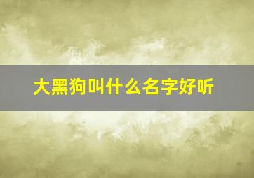 大黑狗叫什么名字好听