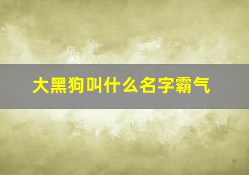 大黑狗叫什么名字霸气