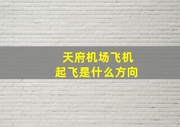 天府机场飞机起飞是什么方向