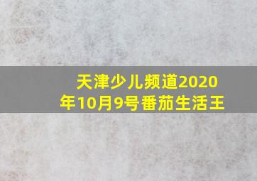 天津少儿频道2020年10月9号番茄生活王