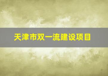 天津市双一流建设项目