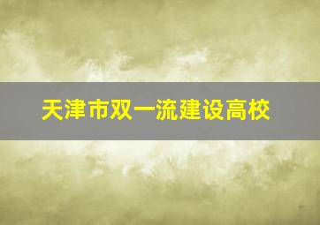 天津市双一流建设高校