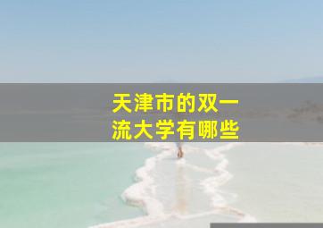 天津市的双一流大学有哪些