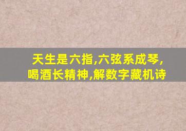 天生是六指,六弦系成琴,喝酒长精神,解数字藏机诗