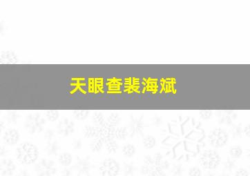 天眼查裴海斌