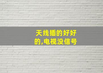 天线插的好好的,电视没信号