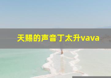 天赐的声音丁太升vava