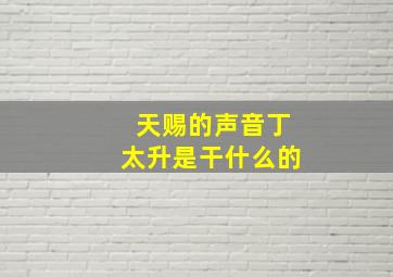 天赐的声音丁太升是干什么的