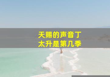 天赐的声音丁太升是第几季