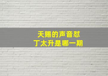 天赐的声音怼丁太升是哪一期