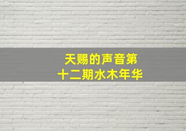 天赐的声音第十二期水木年华