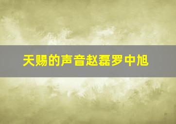 天赐的声音赵磊罗中旭