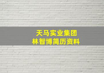 天马实业集团林智博简历资料