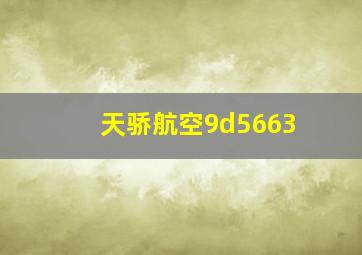 天骄航空9d5663