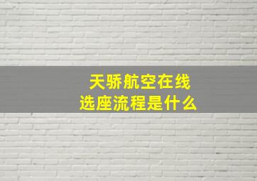 天骄航空在线选座流程是什么