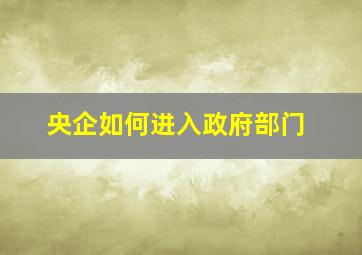 央企如何进入政府部门