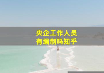 央企工作人员有编制吗知乎