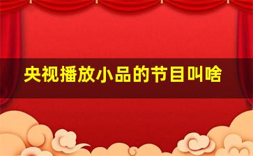 央视播放小品的节目叫啥