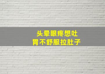 头晕眼疼想吐胃不舒服拉肚子