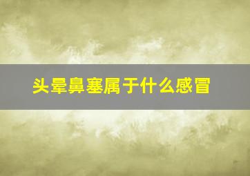 头晕鼻塞属于什么感冒