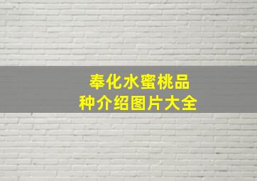 奉化水蜜桃品种介绍图片大全