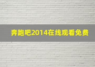 奔跑吧2014在线观看免费