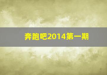 奔跑吧2014第一期