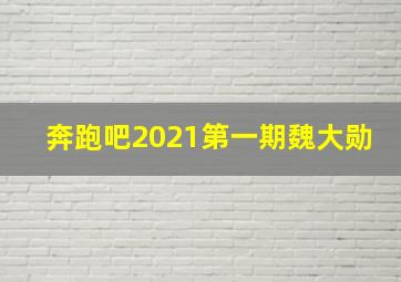 奔跑吧2021第一期魏大勋